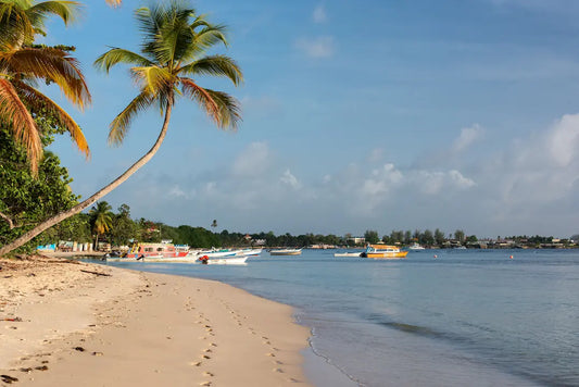 anti moustique martinique