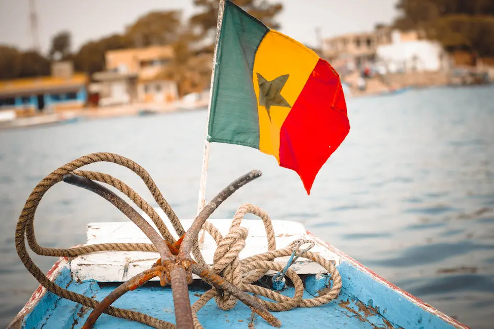 anti moustique senegal