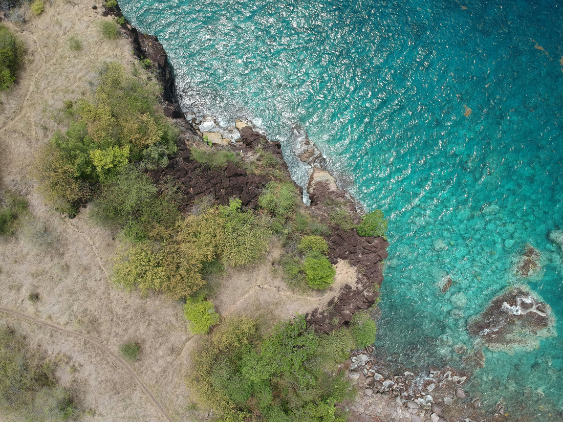 Anti-moustique Guadeloupe : quel spray choisir pour un voyage serein ?